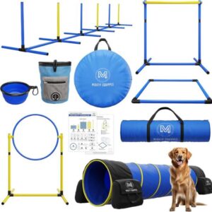 Training & Behavior