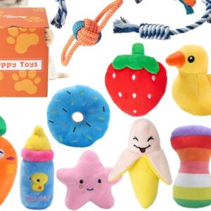Toys & Fun
